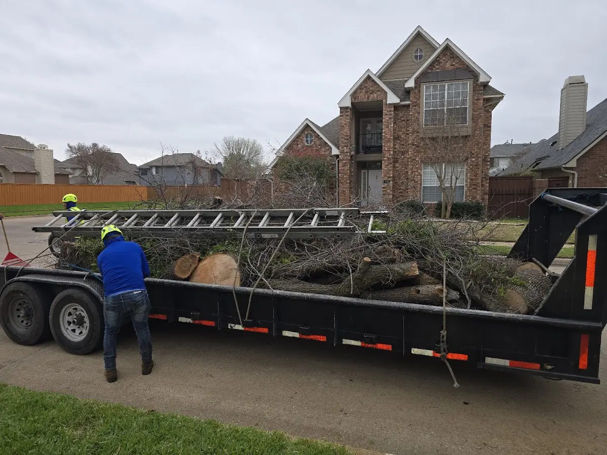 Expert Tree Fertilization with proper safety equipment in Lebanon